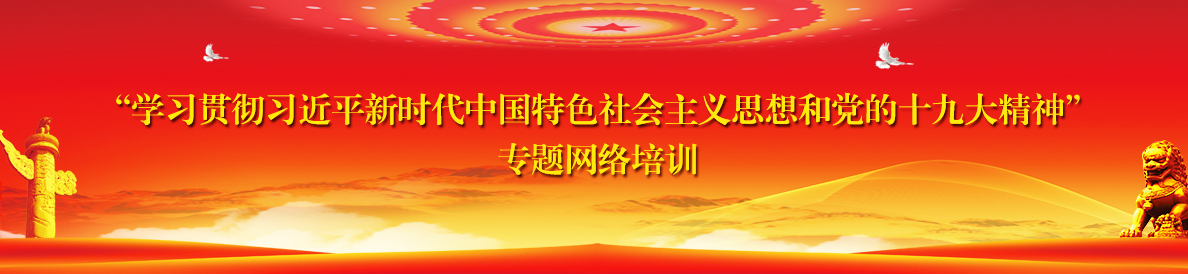 “学习贯彻习近平新时代中国特色社会主义思想和党的十九大精神”专题网络培训