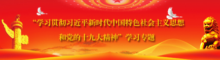 “学习贯彻习近平新时代中国特色社会主义思想和党的十九大精神”学习专题