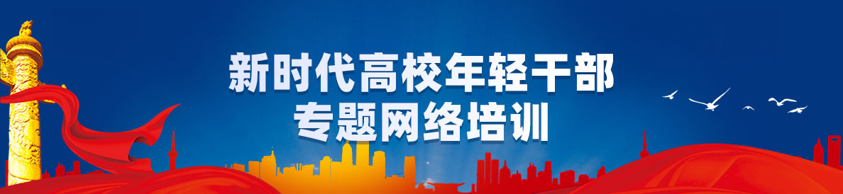 新时代高校年轻干部专题网络培训