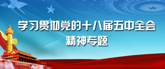 学习贯彻党的十八届五中全会精神专题